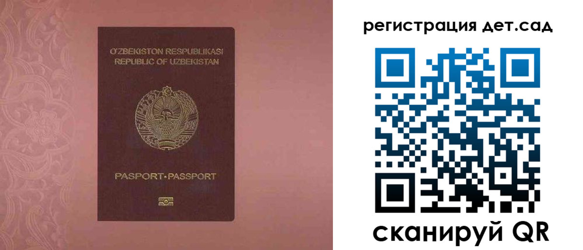 прописка ребенка в Коле