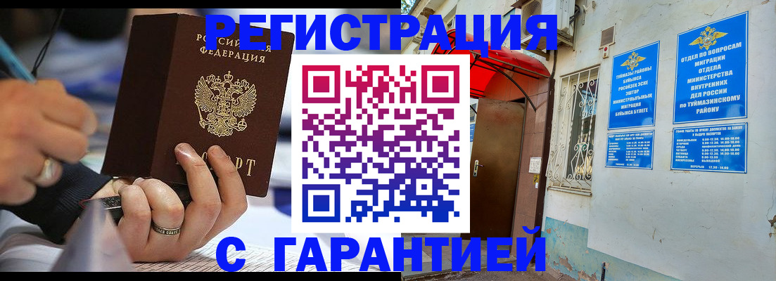 где прописаться в Коле