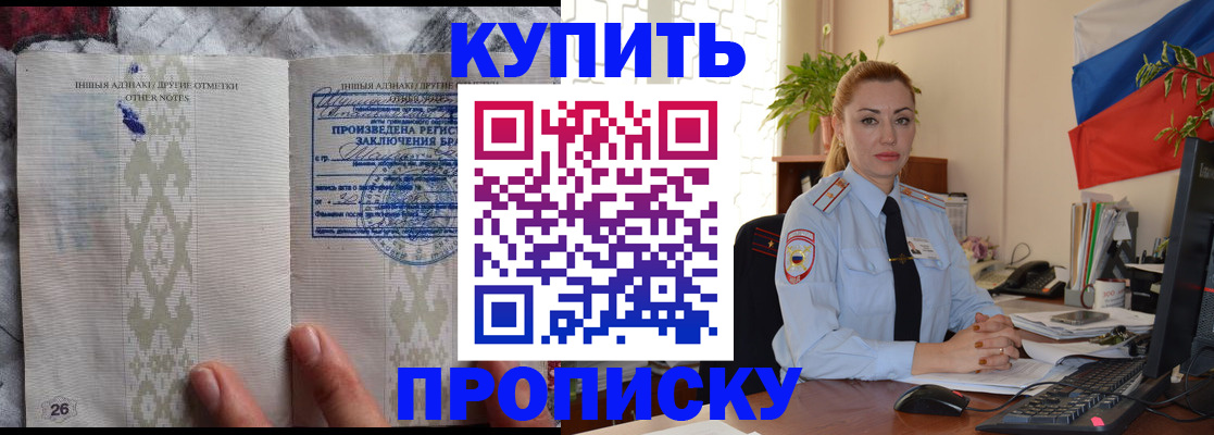 прописка поиск в Коле